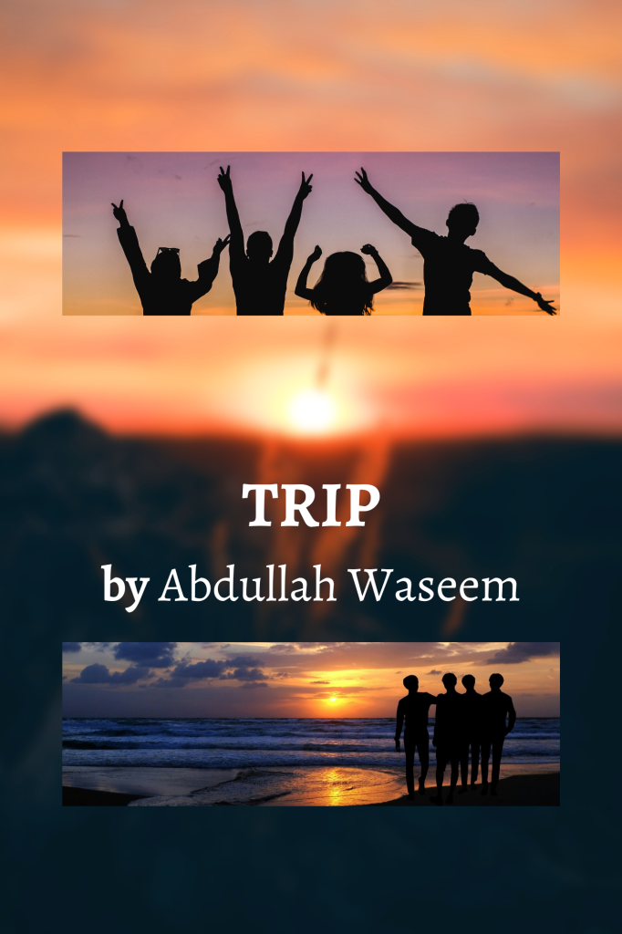 TRIP by Abdullah Waseem